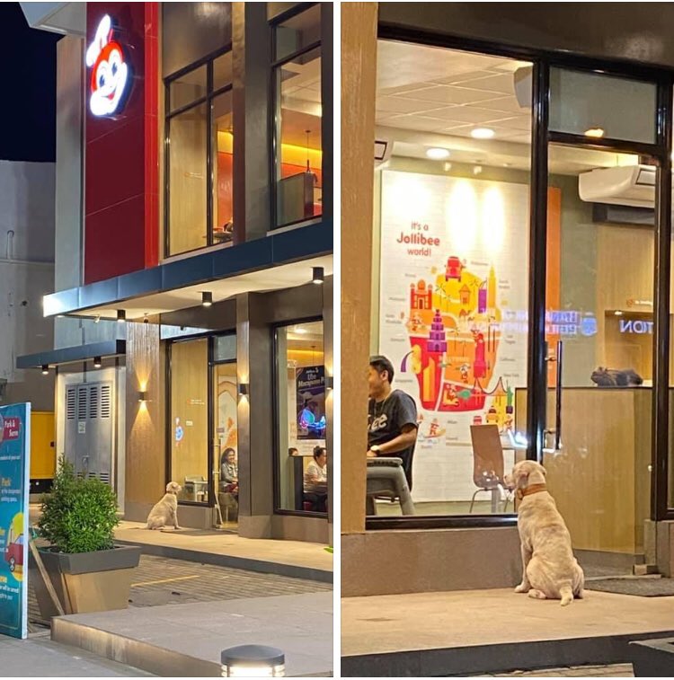 neiljedcastro's tweet photo. Dogs deserve nothing, but love 😭 https://t.co/zwj1OJLALN