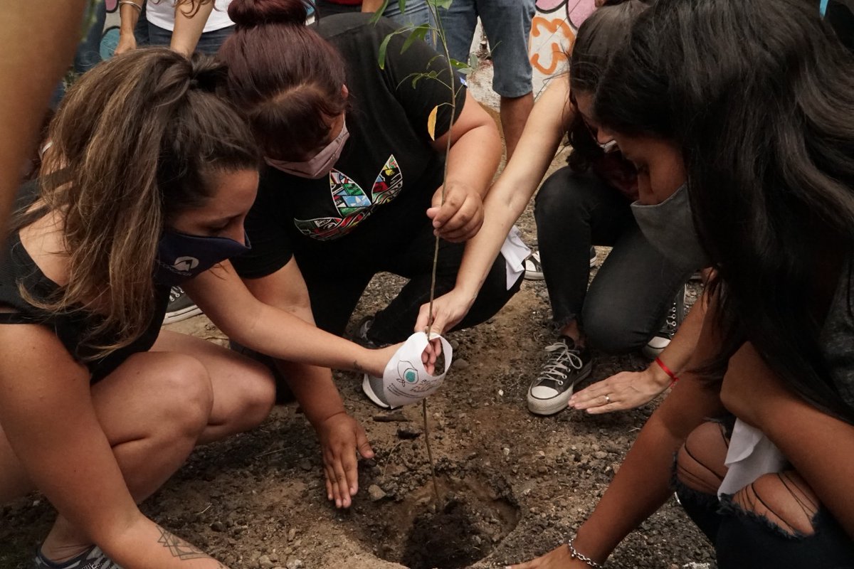 Ateneo Néstor Kirchner Lomas tweet media