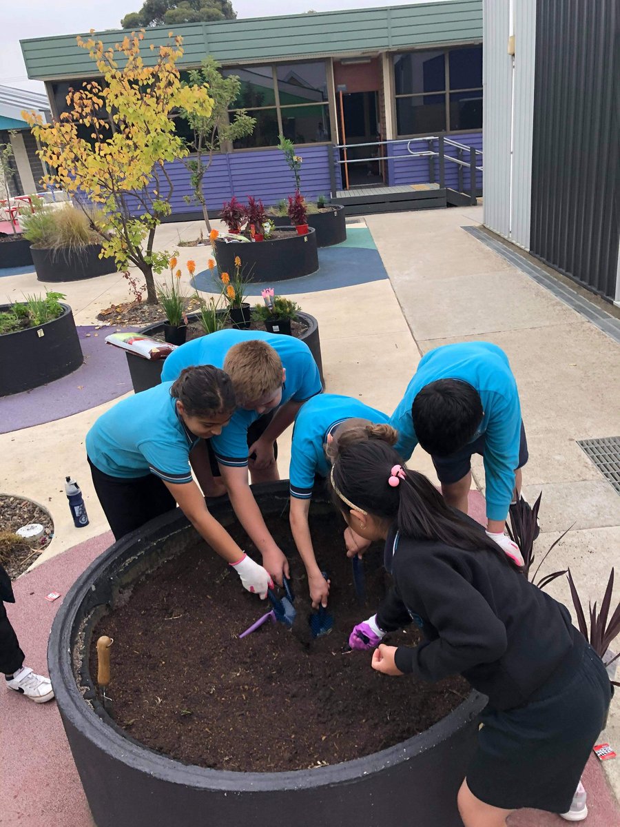 Dallas Brooks CPS tweet media