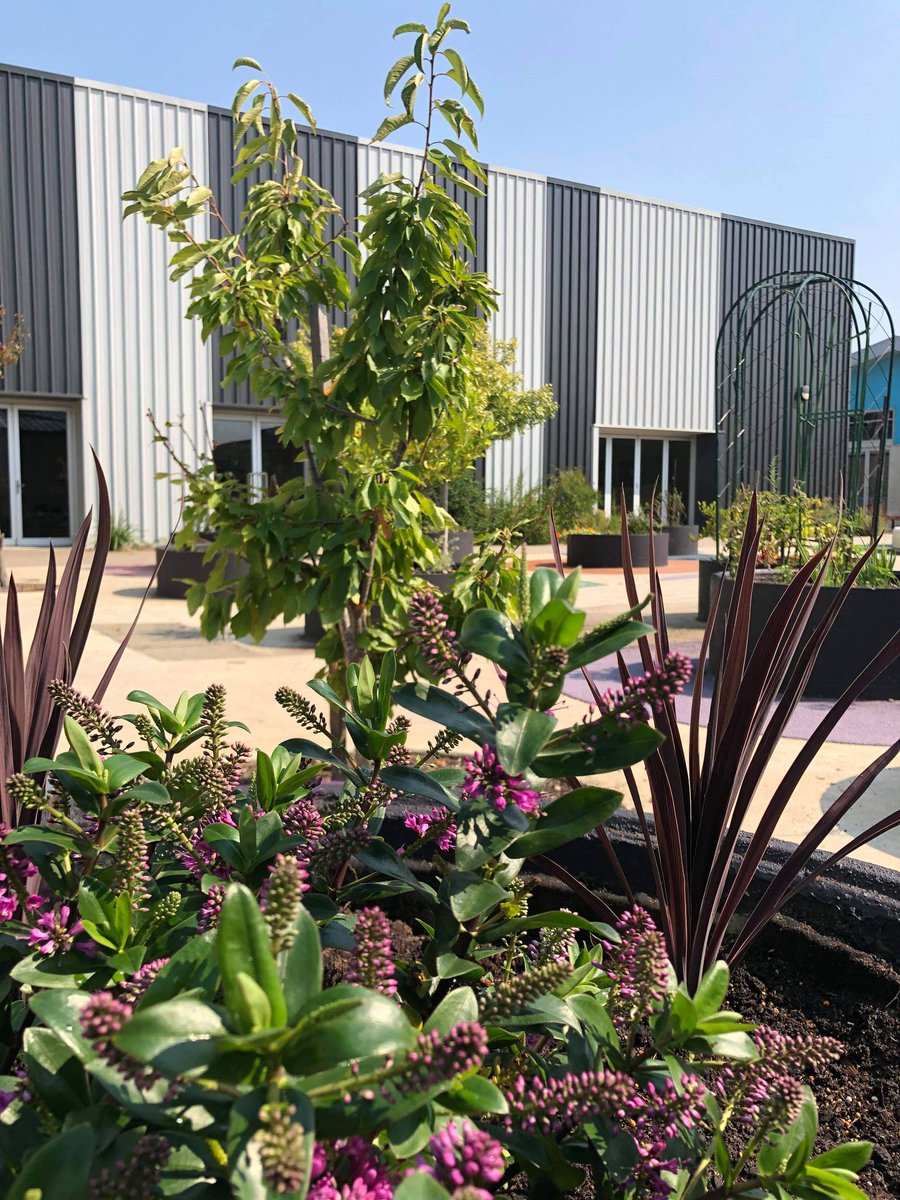 Dallas Brooks CPS tweet media