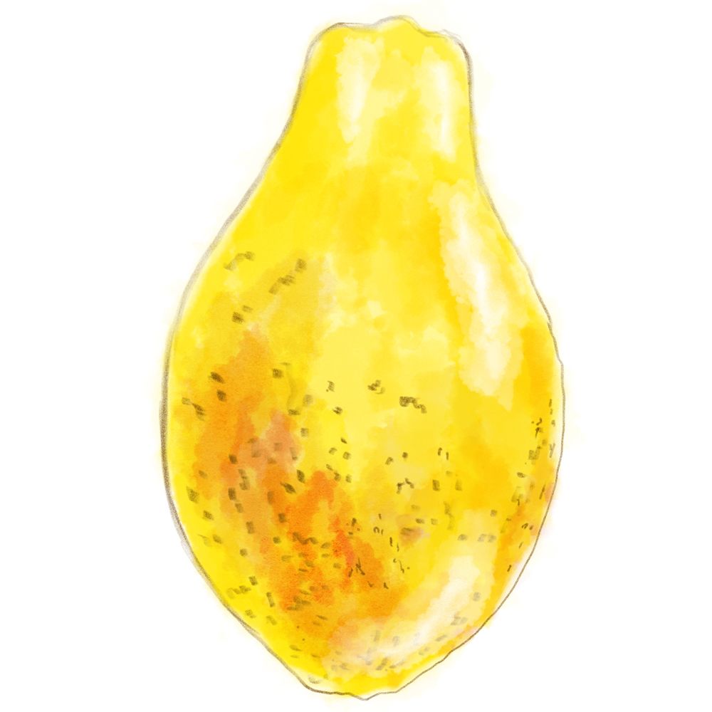 Nori Nori Tot Twitter