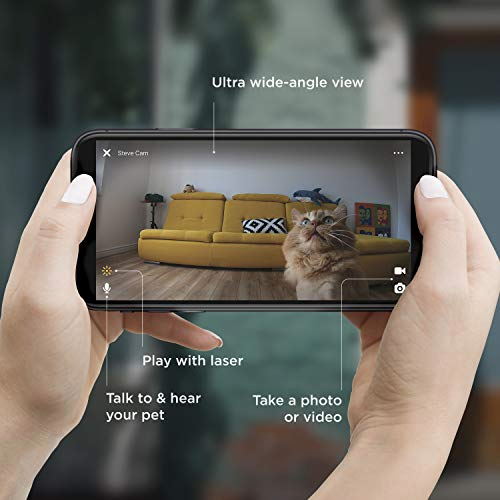 DailySellers's tweet photo. Petcube Play 2 Wi-Fi Pet Camera with Laser Toy &amp; Alexa Built-In, for Cats &amp; Dogs
https://t.co/gye3cDQ5r7
#2WayAudio #Sound #MotionAlerts #night #vision #PetMonitoringApp https://t.co/SkKPPCX4G1