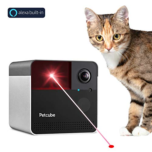 DailySellers's tweet photo. Petcube Play 2 Wi-Fi Pet Camera with Laser Toy &amp; Alexa Built-In, for Cats &amp; Dogs
https://t.co/gye3cDQ5r7
#2WayAudio #Sound #MotionAlerts #night #vision #PetMonitoringApp https://t.co/SkKPPCX4G1