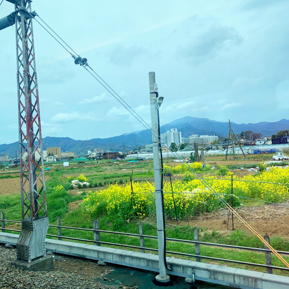 kurichako1's tweet photo. この時期の車窓からは、桜、菜の花。
そして袴姿や終業式に沢山の荷物を抱えて帰るランドセル姿を見られたり。
別れの季節だけど、ワクワクな季節🌸 https://t.co/cETFrLqqcL