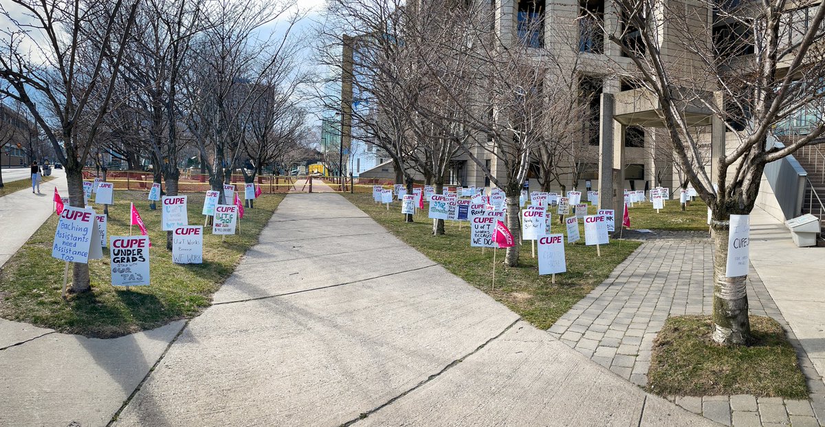 cupe3902's tweet photo. Our Sign Forest, made by members to tell @uoft that they are ready to strike! #uoft #boundless #oncol #cupe https://t.co/n7p71MgVe0