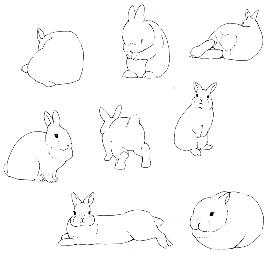 新しいスマホ作るためにイラスト描き中〜 _φ(・_・

#うさぎ 