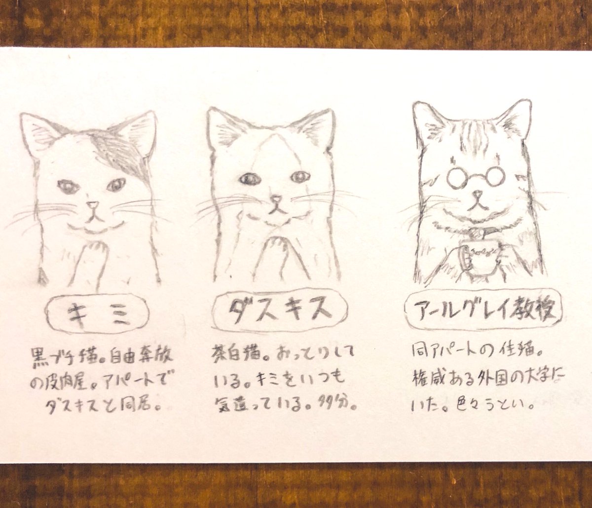 『キミとダスキス設定的なやつ』😸😽
始めた頃に書いたもの📑

キミとダスキスはアパートに住んでる。2階角部屋。のほほん😸😽
大家はしばじい。最近FX🐶
エージェントはヒゲがある😼
教授はメガネの下は美猫🐱👓
 #キミとダスキス 