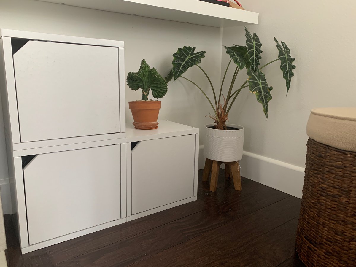 waybasics's tweet image. Connect door cubes perfectly stacked! #connect #cubes #stackable #ecofriendly #storage #bookcase