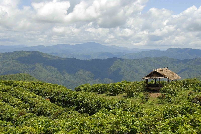 explorelaos tweet media