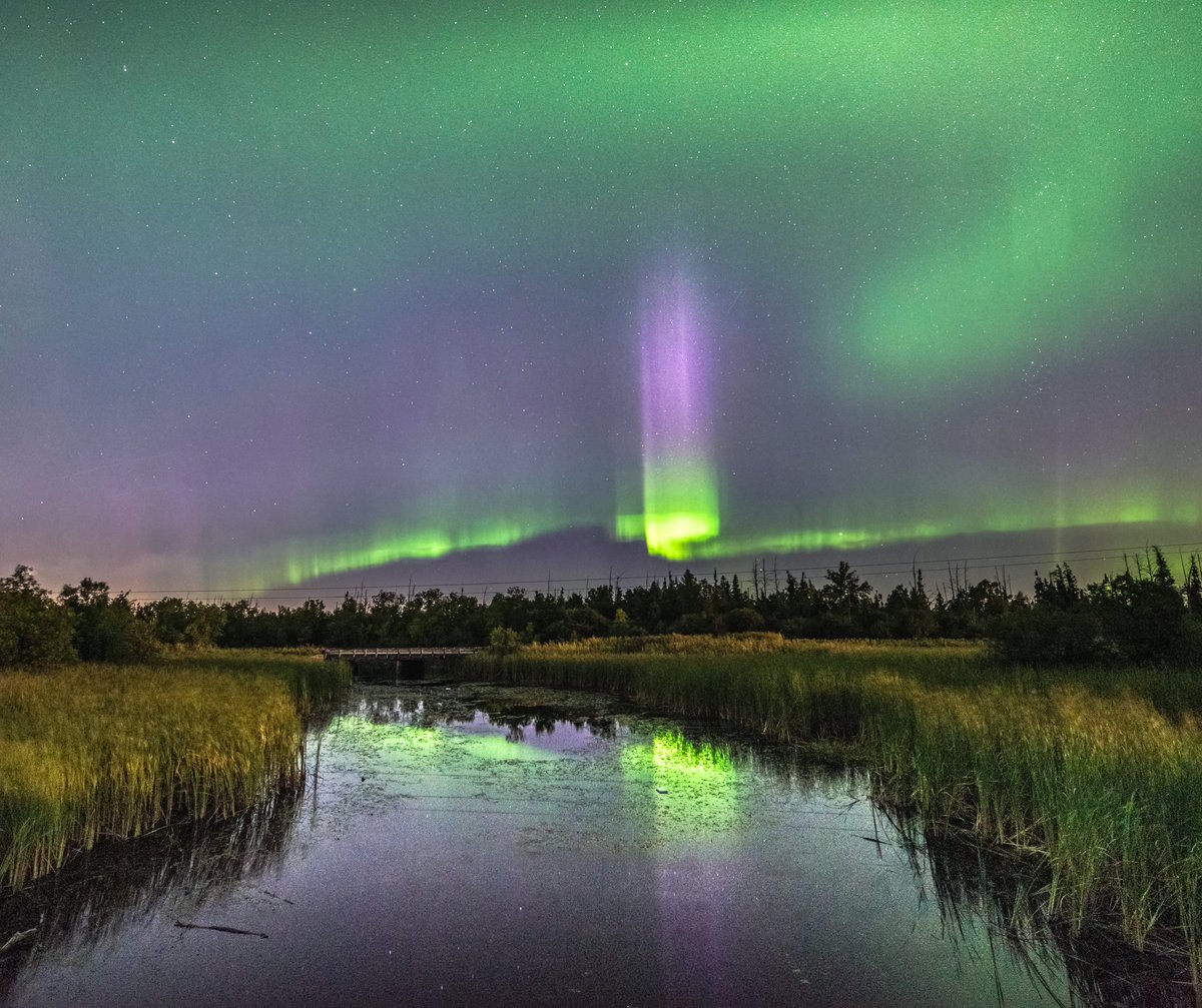People are talking about a  mysterious purple-blueish Aurora spotted in New Zealand. Here is “The Purple Pencil Aurora” I discovered back in 2017. 

#rareaurora #auroraborealis #aurora #space #shareyourweather <a href="/mark_tarello/">Mark Tarello</a> <a href="/TamithaSkov/">Dr. Tamitha Skov</a> <a href="/_SpaceWeather_/">SpaceWeatherLive</a> <a href="/NASA/">NASA</a> <a href="/Discovery/">Discovery</a> <a href="/csa_asc/">Canadian Space Agency</a>