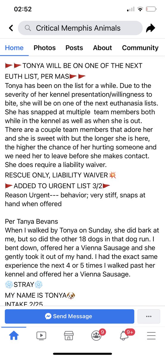 reddogsusie's tweet photo. #TN #MEMPHIS
๐๐STILL THERE - Tonya 3yo hw- WILL BE ON NEXT EUTH LIST - needs out of here now! Pls read below!
#RESCUE #FOSTER #PLEDGE #MASA3267 https://t.co/3fuOxA08O7