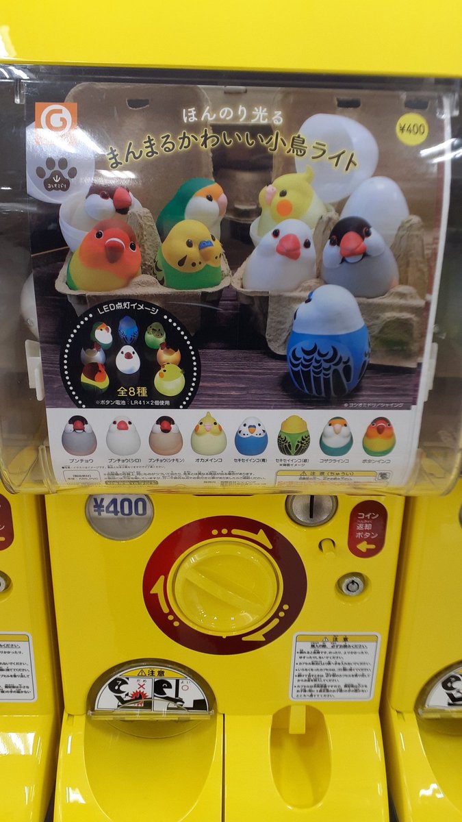 シャイング カプセル玩具 Shineg Gacha Twitter シャイング カプセル玩具 Shineg Gacha Twitter