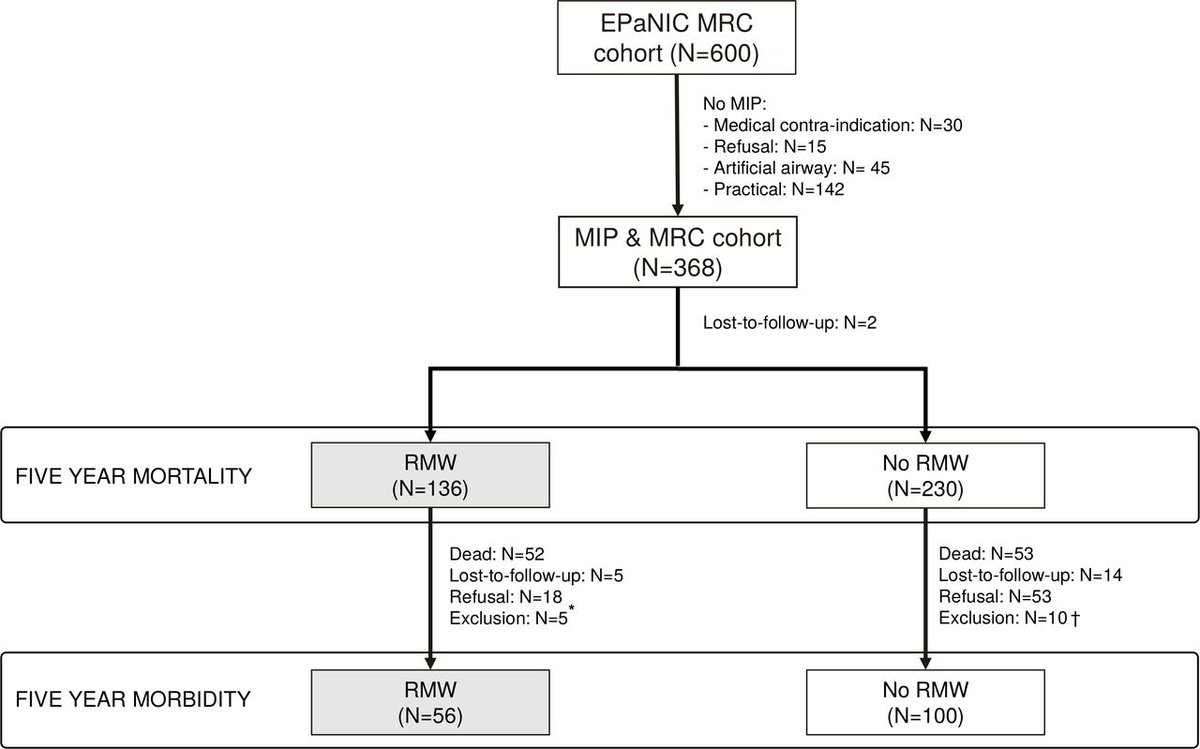 ThoraxBMJ's tweet photo. Five-year outcome of respiratory muscle weakness at intensive care unit discharge: secondary analysis of a prospective cohort study. https://t.co/avVOtfLXD6 https://t.co/knXpc6r8Sh