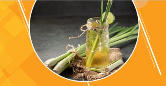 rblbank's tweet photo. Kapiva – Launching Ayurveda in the New Form Factor. To know more - https://t.co/f0cFdCHGZ5
#Kapiva #BankingBlog #RBLBankBlog https://t.co/c7m0ziS1pc