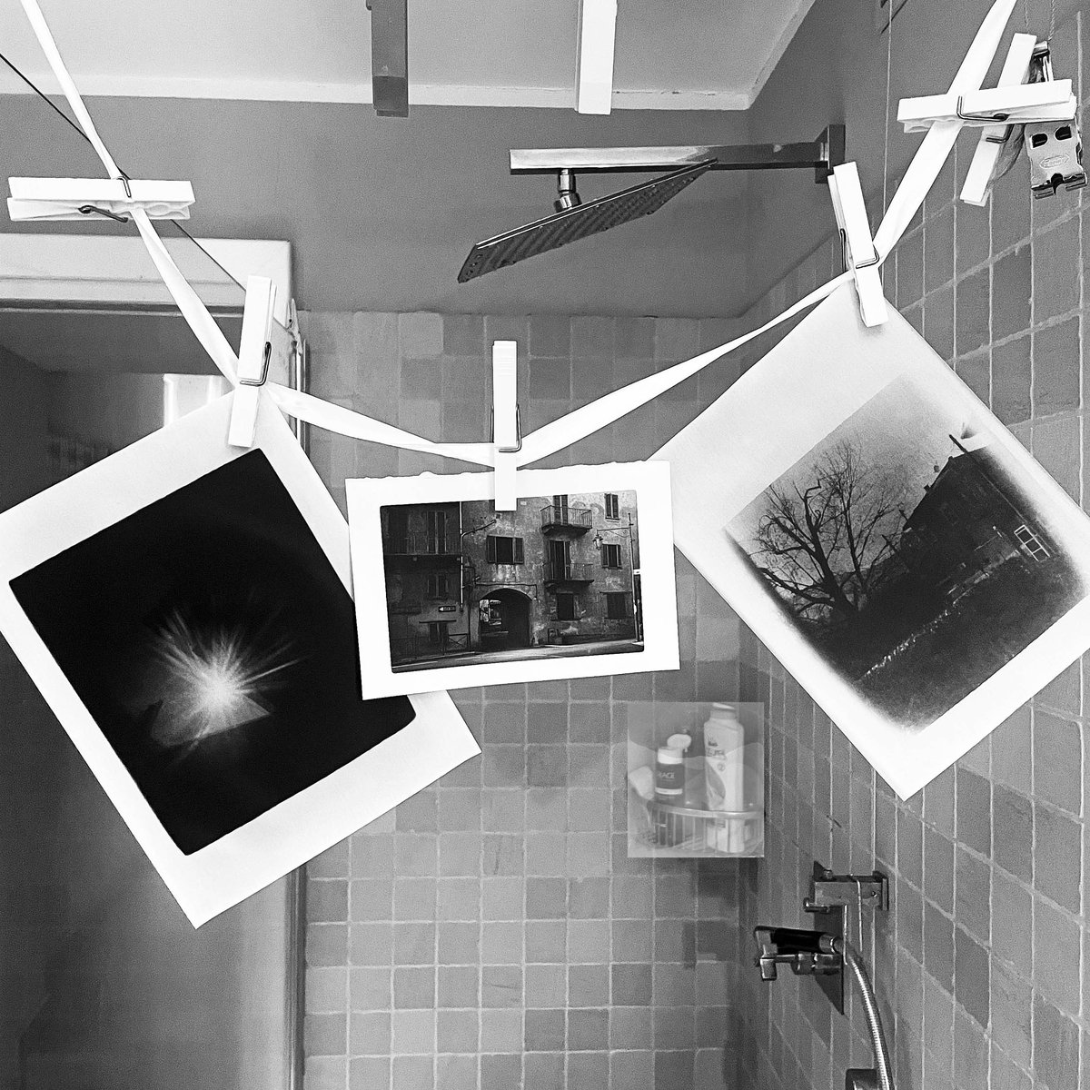 leobellandi's tweet photo. #bnwphotography #filmisnotdead #filmprint #filmprinting #lbdcping #analogphotography #analogcamera #selfprinting #filmalive #argentique #fotografie #analogphoto https://t.co/lvn7r9zdmV