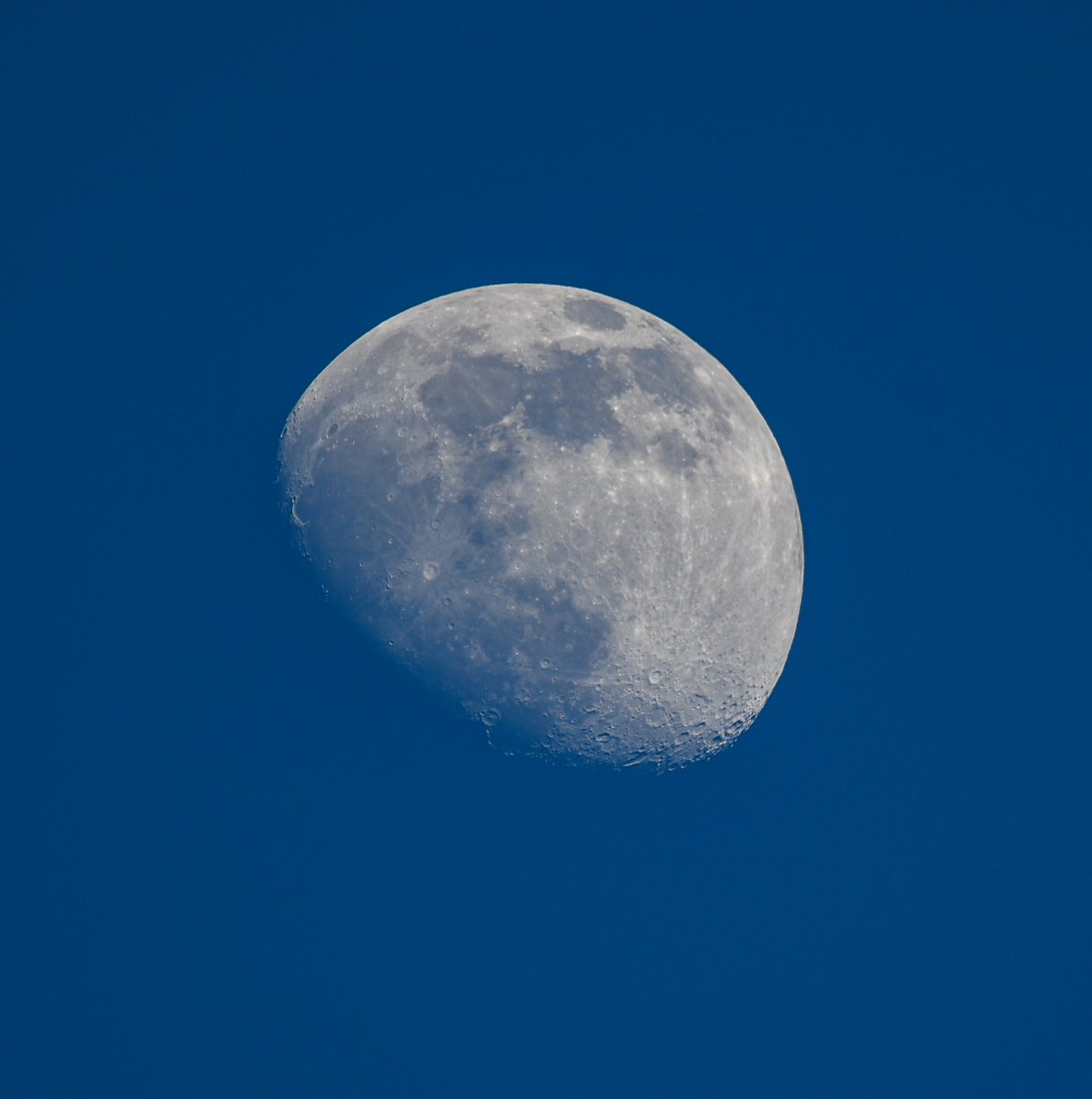 PhilBeer83's tweet photo. Yesterdays waxing gibbous #moon before and after sunset and the 20:07 pass of the #internationalspacestation #moonpics #moonpicsofinstagram #moonphases #moonphase #iss #spacestation #space #astrophotography #astrophoto #nightsky #nightskyphotography @VirtualAstro https://t.co/K8krxdMs52