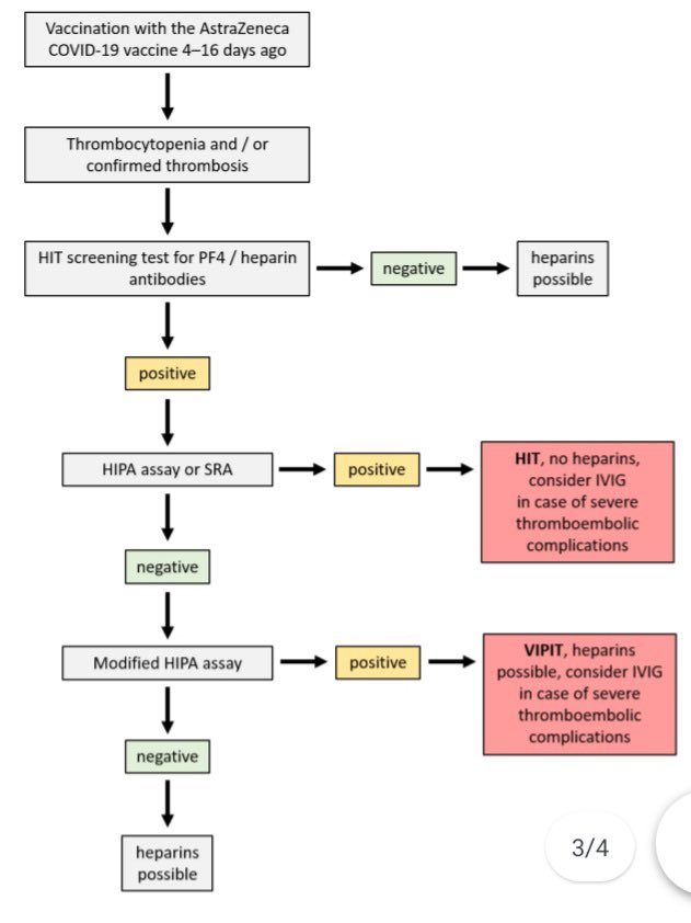 VIPIT - Twitter Search