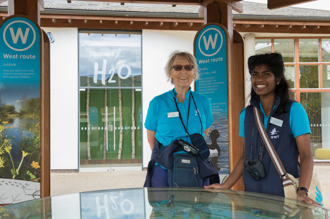 WWTCastleEspie's tweet photo. Looking for a new challenge? We're looking for volunteers to join our Visitor Services Team where you'll help meet and greet visitors to @WWTCastleEspie when we reopen. To find out more and to apply 👉https://t.co/kG5M7fr8Ol  
#wetlands#conservation #volunteering @ANDborough https://t.co/aisJQ0vc8n