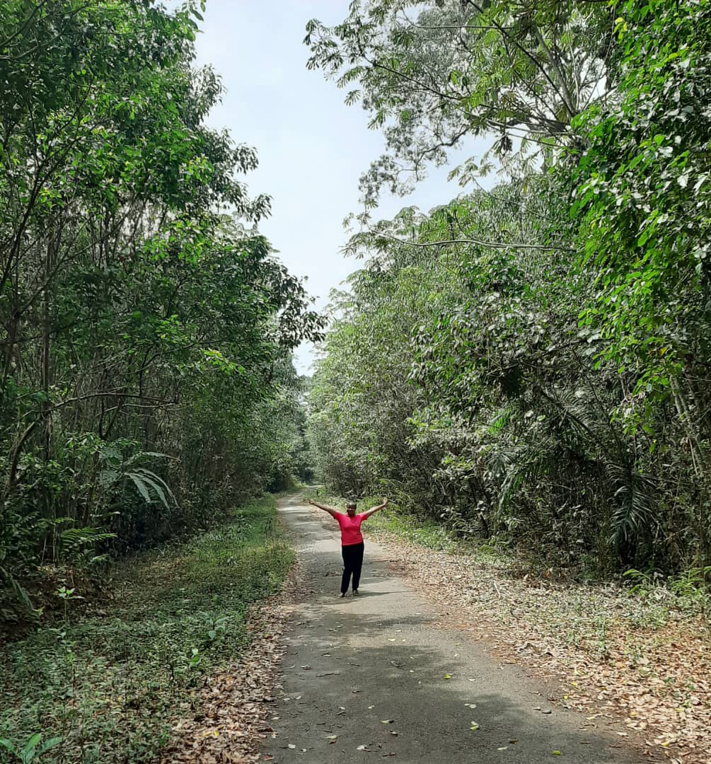 adajepat's tweet image. Occupying a land area of 342,459km2, the Cross River National Park (Oban division) supports the wellbeing of 39 communities depending  on  the forest resources  in  the  provision of  food,  water,  shelter,  medicine,  and  other  economic  benefits.

 #IntlForestDay #ForNature