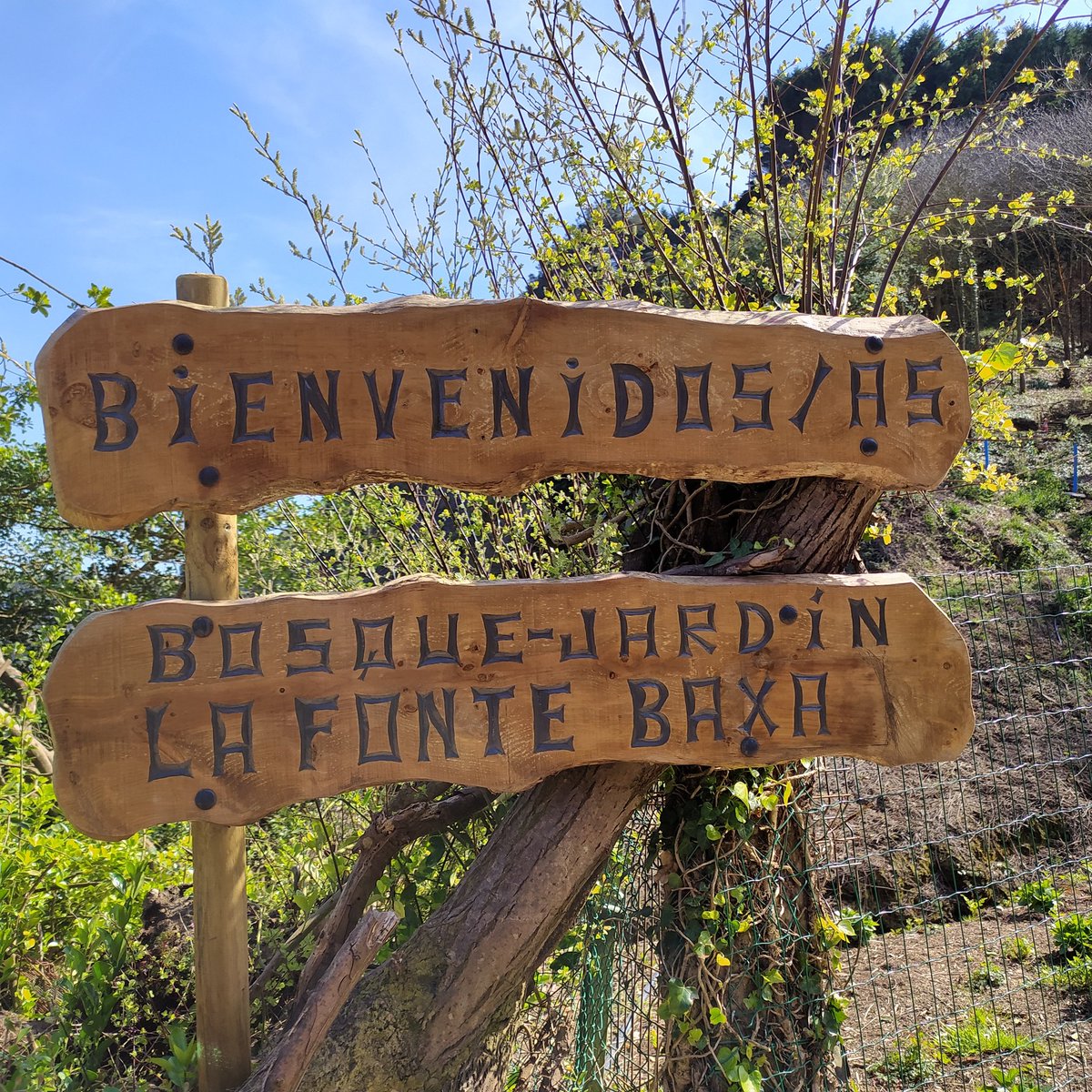 VerdePrado4's tweet image. Muy recomendable. @TurismoAsturias  @arboles_magicos