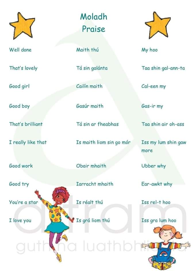 CarnGaa's tweet photo. Cúpla focal don Lá.
#GAAgaeilge #altram #CarnGAA https://t.co/uNtuWk7tPD