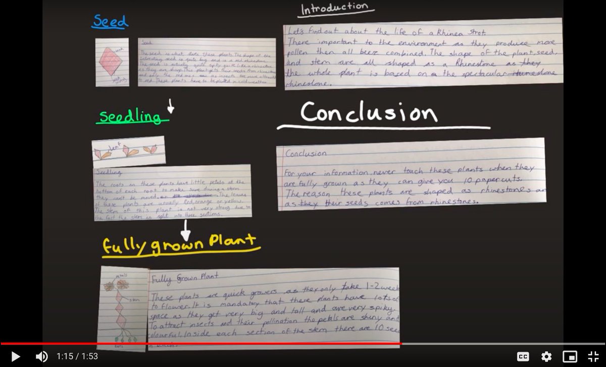 Kellett_KLBPrep's tweet photo. Imagine if a new plant was discovered on Earth... Y5 created fictional plants this week and then both wrote and performed explanations all about them. A superb combination of Topic and English learning. #KLBPrep @KellettSchool https://t.co/cs6HtL2dcl