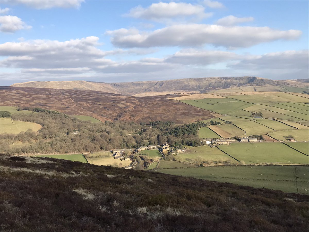 David Wilson tweet media