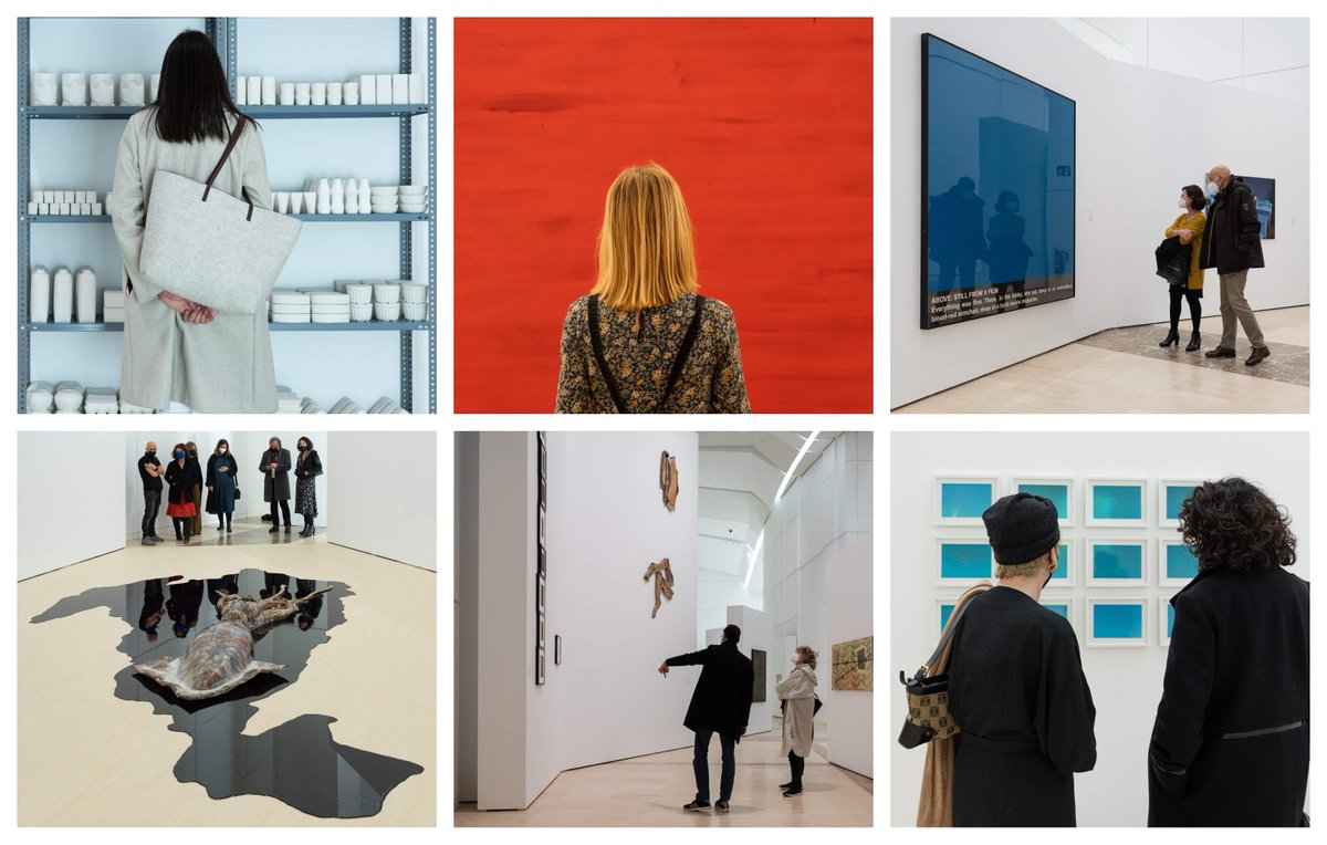 CidadedaCultura's tweet photo. 📢 Xa podes percorrer da man d@s #guías da @CidadedaCultura o #MuseoGaiás como se o ventre dun cetáceo #multicor e #contemporáneo se tratase‼️
Unha descuberta guiada por parte da colección da #FundaciónRac, unha das ➕importantes de #artecontemporánea
ℹ️https://t.co/iALBUhKjMN https://t.co/EBKyMtmu1t