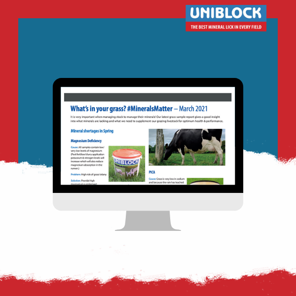 UniblockIe's tweet photo. In our #MineralsMatter report, we have identified shortages in magnesium, copper, and sodium meaning it will be vital for owners of grazing stock to supplement to ensure their animals remain healthy and happy. #Agriculture

Take a look at our report today: https://t.co/GEAnQcCrtR https://t.co/BiyFC2YMto