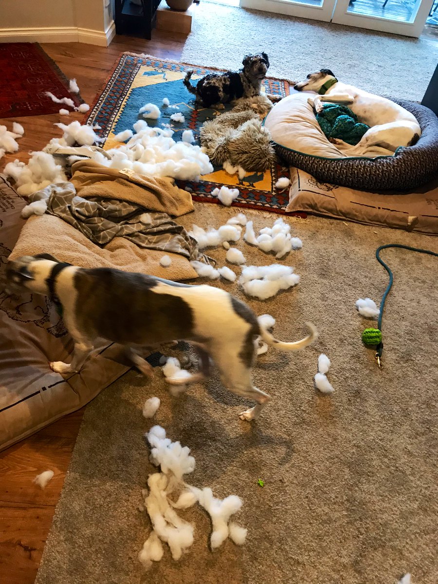 Oh hi mum you’re home early.