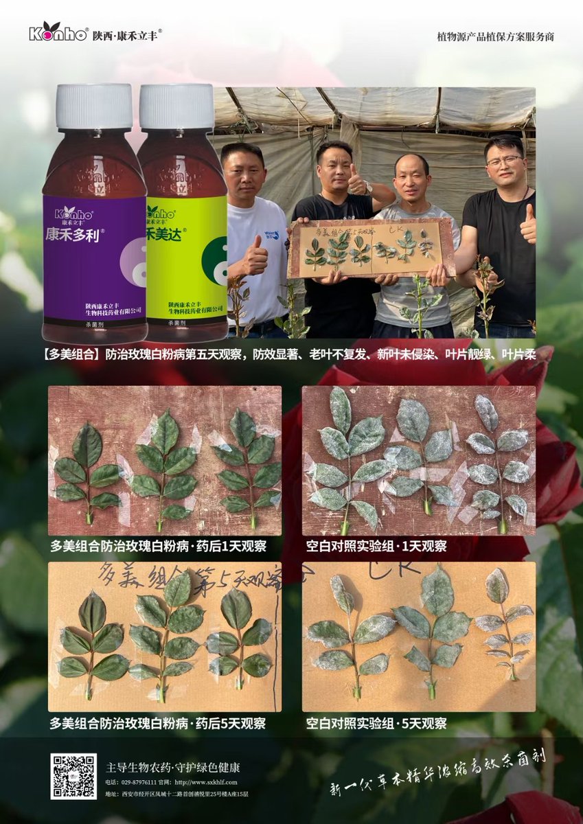 AgroKonho's tweet photo. We have helped rose growers with powdery mildew control with great success https://t.co/7Zbkp46x6P