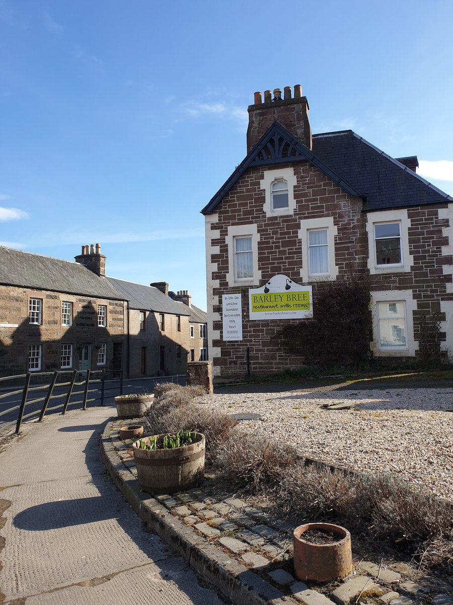 Barley Bree tweet media