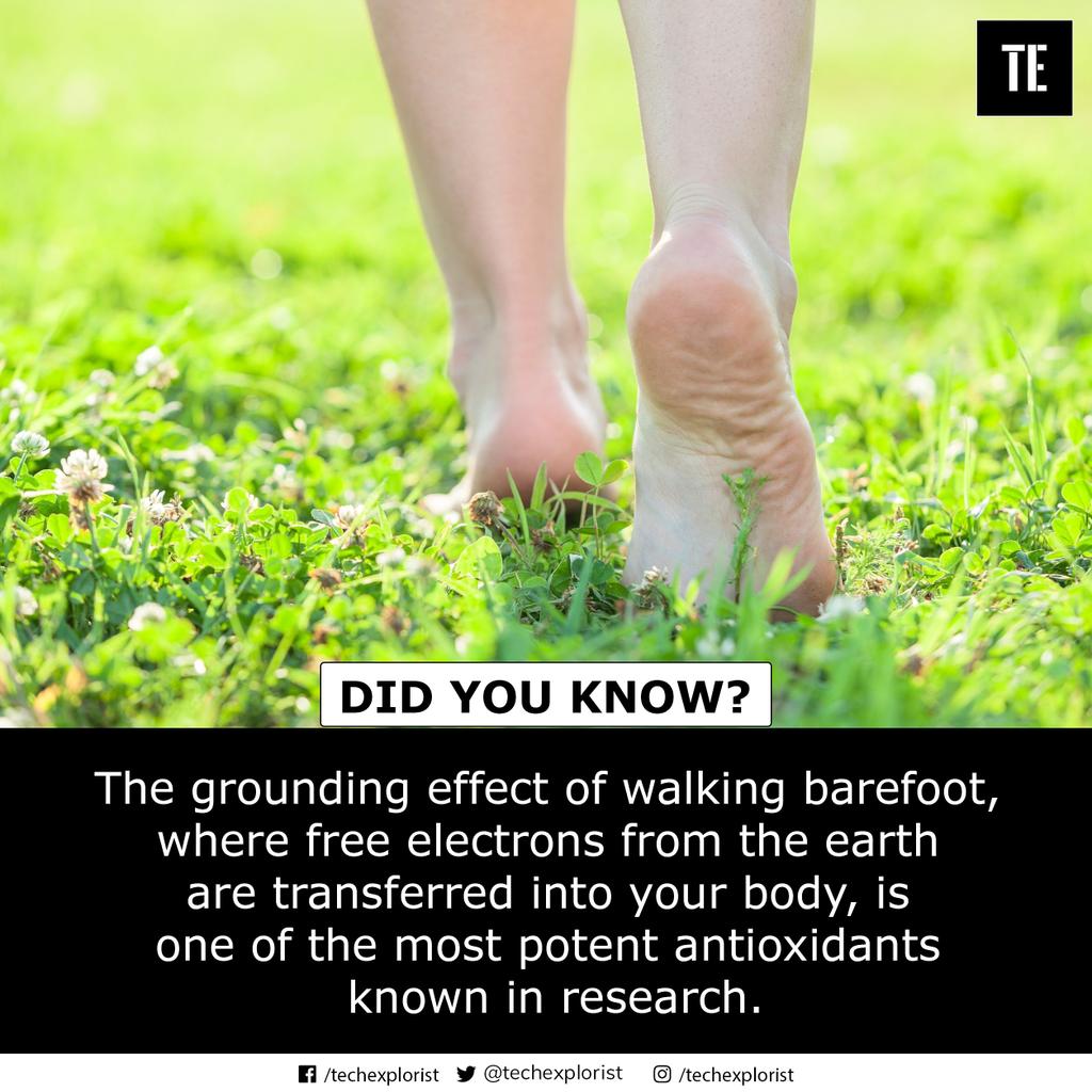 DID YOU KNOW?
#groundingeffects #barefoot #antioxidants #research #électrons #generalawarness #generalknowlege #fact💯 #science #techexplorist