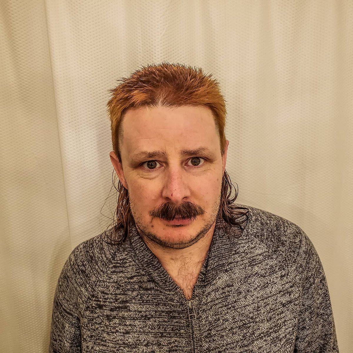 scottievan's tweet photo. I'm now part of the #COVID19
Hair cut for men club #mulletrun #mulletmonday #mulletgang #MulletRoe #mulletnation #MulletBeach #mullet #mulletbay #mulletwine #mullets #mulletseason #mulletlife #mulletwinetime #mulletfordays https://t.co/eLdsmbfQcY