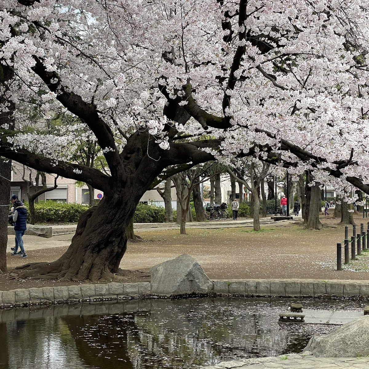 平和公園 Twitter Search