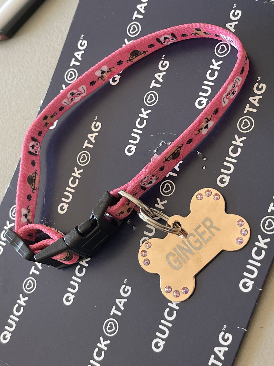 nataliegparsons's tweet image. Little delayed on the #NationalPuppyDay! But in CELEBRATION, you know an #adoption is officially official when the #QuickTag #RoseGold #dogtag arrives: GINGER’s mine now (for realz)‼️ #chihuahua #ratterrier #dachshund #rescuedog #fosterfail #puppylove #dogmomlife