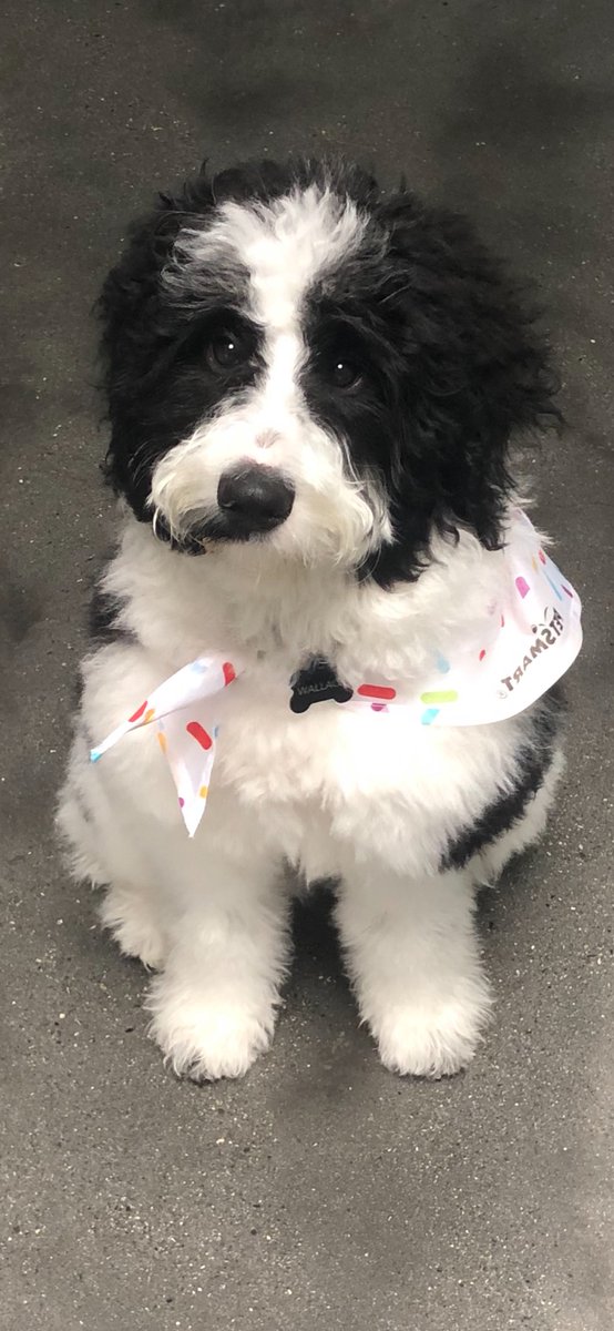 Thomas Drance tweet media