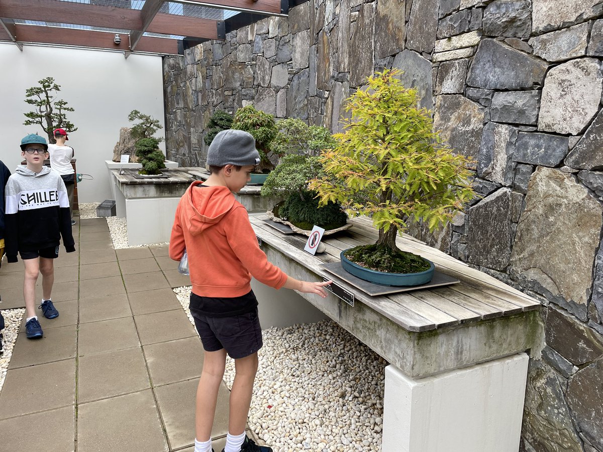 Enjoying checking out some of the 44,000 trees at the National Arboretum. #wahroongaproud