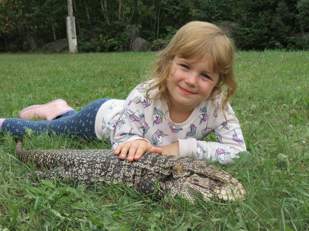 ReptileCamp's tweet photo. New Website! Important Fundraiser! - https://t.co/wTtMP2s5Zl https://t.co/nYHsEPVX2X