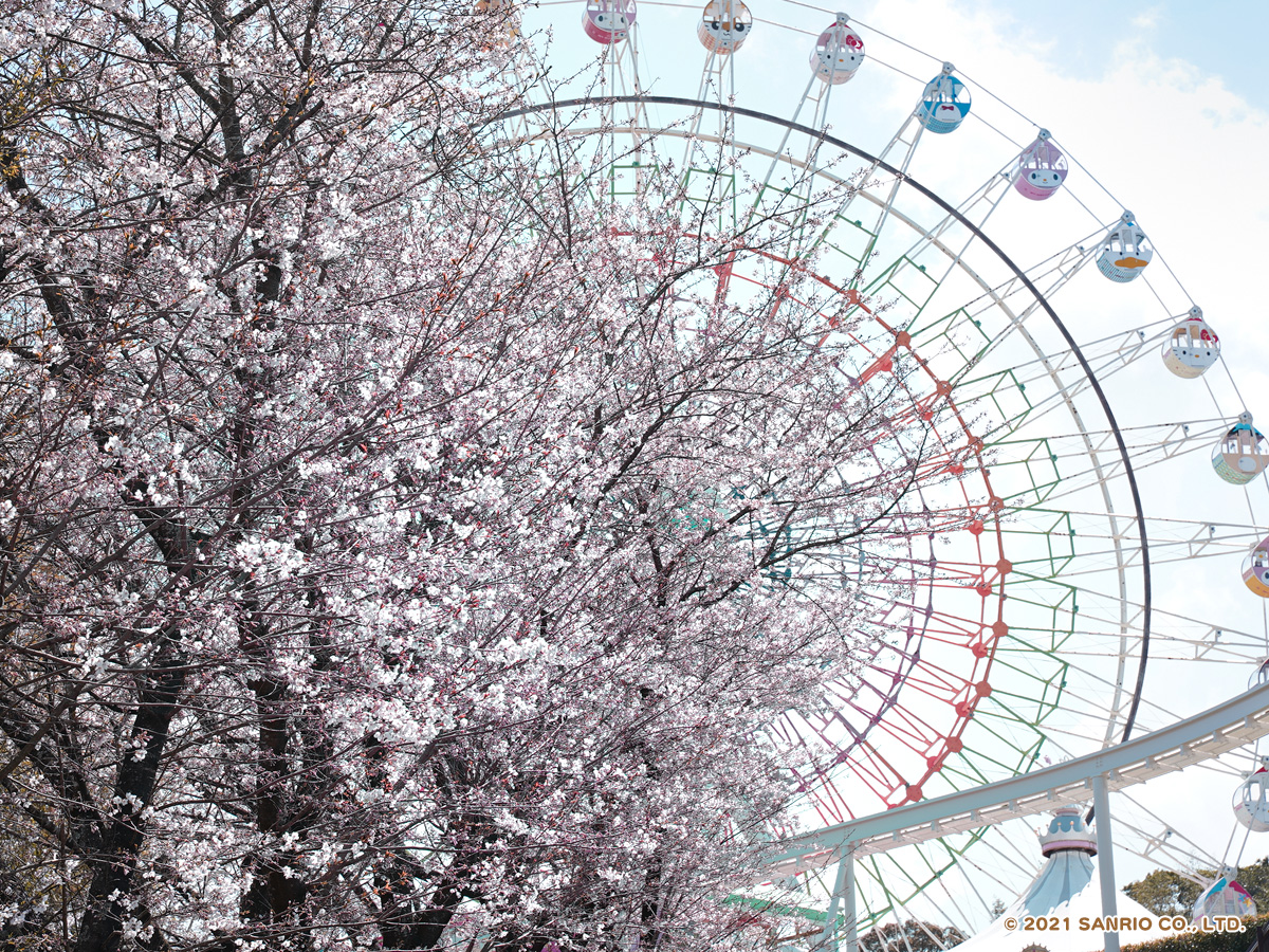 ハーモニーランド 公式 園内の桜が見頃を迎えています ハーモニーランドは広いエリアで約500本の桜が楽しめますよ 下から見るもよし アトラクションに乗って上から見るもよし ハーモニーランドではいろんな楽しみ方ができますよ さくら 桜 ハーモニーランド 公式 園内の桜が見頃を迎えています ハーモニーランドは広いエリアで約500本の桜が楽しめますよ 下から見るもよし アトラクションに乗って上から見るもよし ハーモニーランドではいろんな楽しみ方ができますよ さくら 桜
