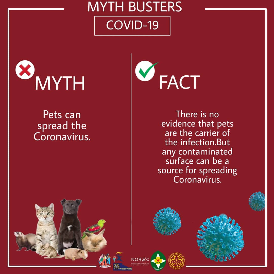 yessgirlsbgga's tweet photo. This March COVID-19 Response Team presents you with some common myths and their facts about COVID-19.
Mentored by:
Tamrin,Mubashwira, Beshara
Written by:Jannatul,Tazrian. designedBy:Arundyuti.
Reference-https://t.co/fY6lFdsANF
#StaySafe #followhealthguidelines #yessgirlsmovement https://t.co/QKJ9xuovPQ