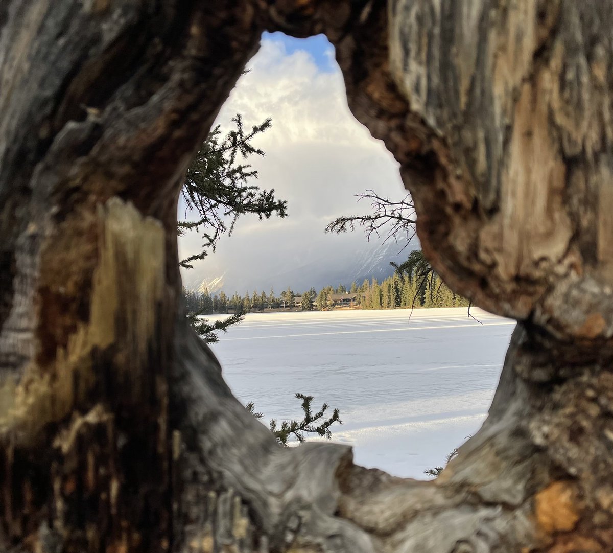 Sanderella123's tweet photo. #fjpl #jaspernationalpark #albertacanada https://t.co/emd3dbg1gr