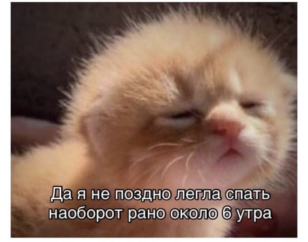 memesforwomen's tweet photo. https://t.co/8fihujKICv