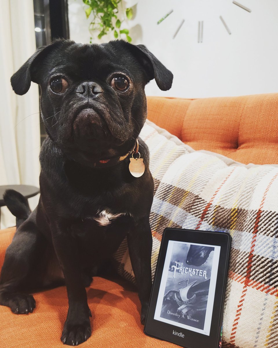 BooksnThingsPod's tweet photo. Bruno would definitely be friends with Tuc from The Trickster by Dorothy A. Winsor.

Thank you Inspired Quill for the ARC it was a joy to read. 

#booksnthingspodcast #thetrickster #yafantasy #pug https://t.co/283UsTtMQ2