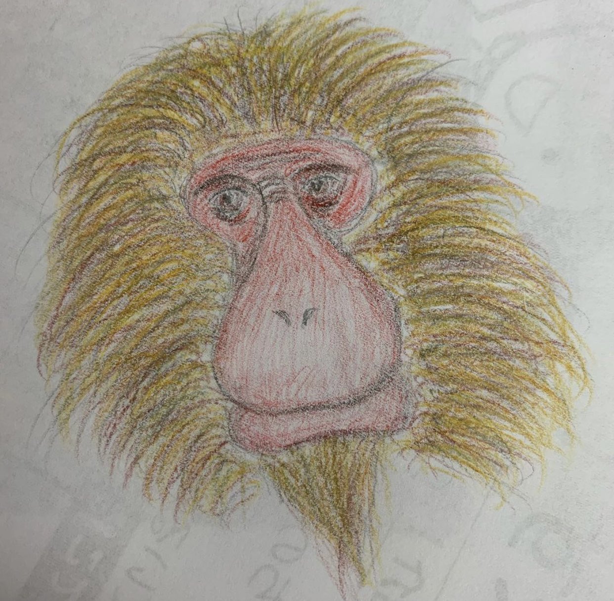れのんstein いつだったか職場で暇な時間に描いたニホンザル 鉛筆と色鉛筆で描いてみました イラスト好きな人と繋がりたい イラスト練習中 さる イラスト初心者 T Co Jnkd66ebjn Twitter