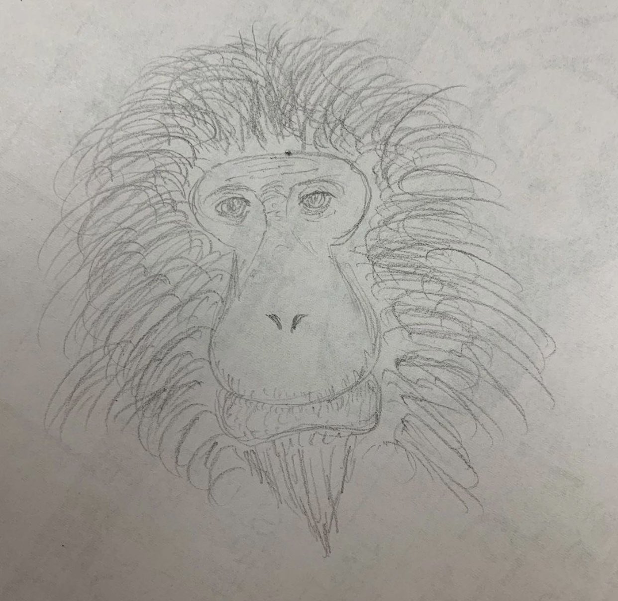 れのんstein いつだったか職場で暇な時間に描いたニホンザル 鉛筆と色鉛筆で描いてみました イラスト好きな人と繋がりたい イラスト練習中 さる イラスト初心者 T Co Jnkd66ebjn Twitter れのんstein いつだったか職場で暇な時間に描いたニホンザル 鉛筆と色鉛筆で描いてみました イラスト好きな人と繋がりたい イラスト練習中 さる イラスト初心者 T Co Jnkd66ebjn Twitter