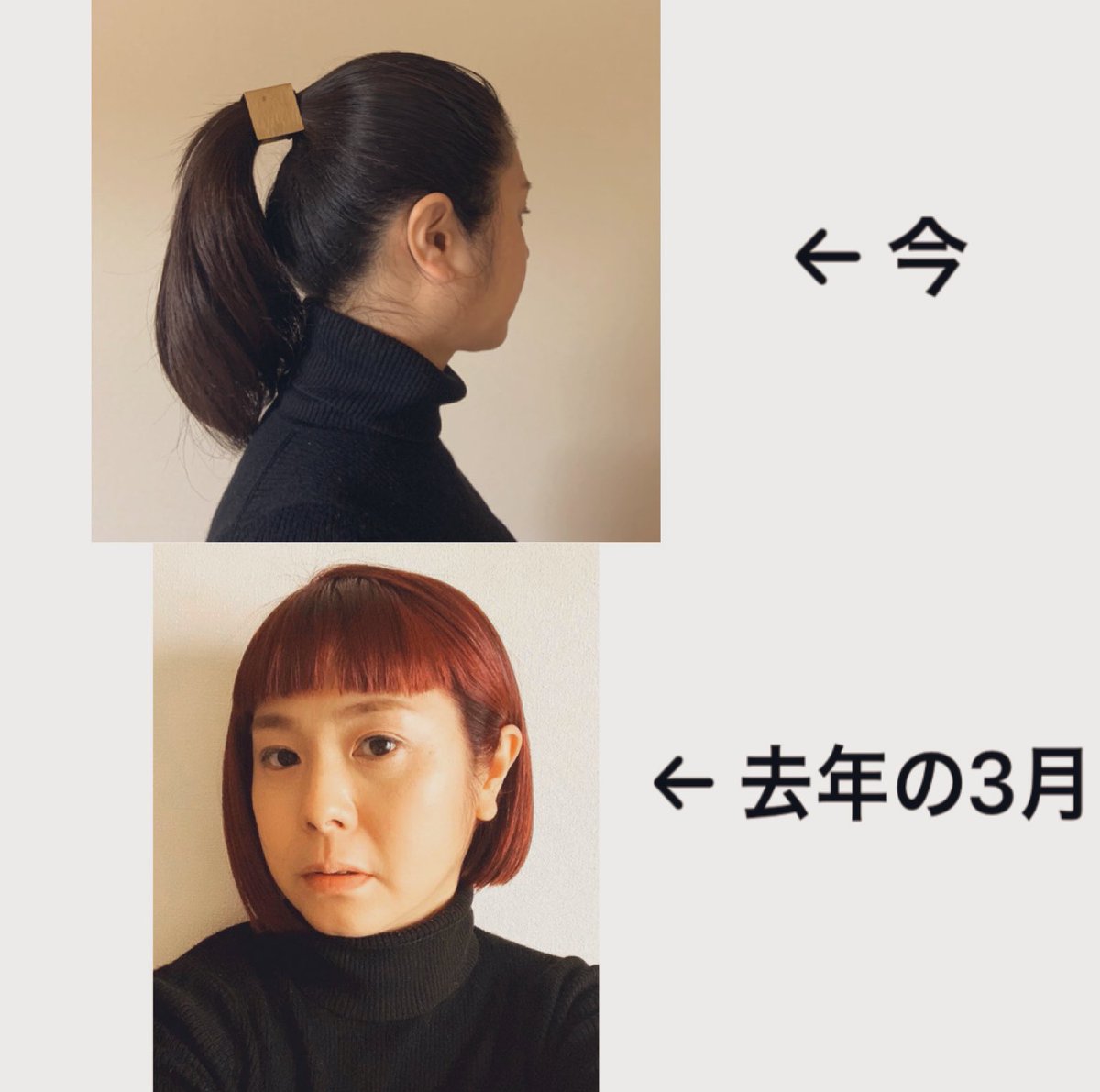 髪の毛 伸びる 速 さ