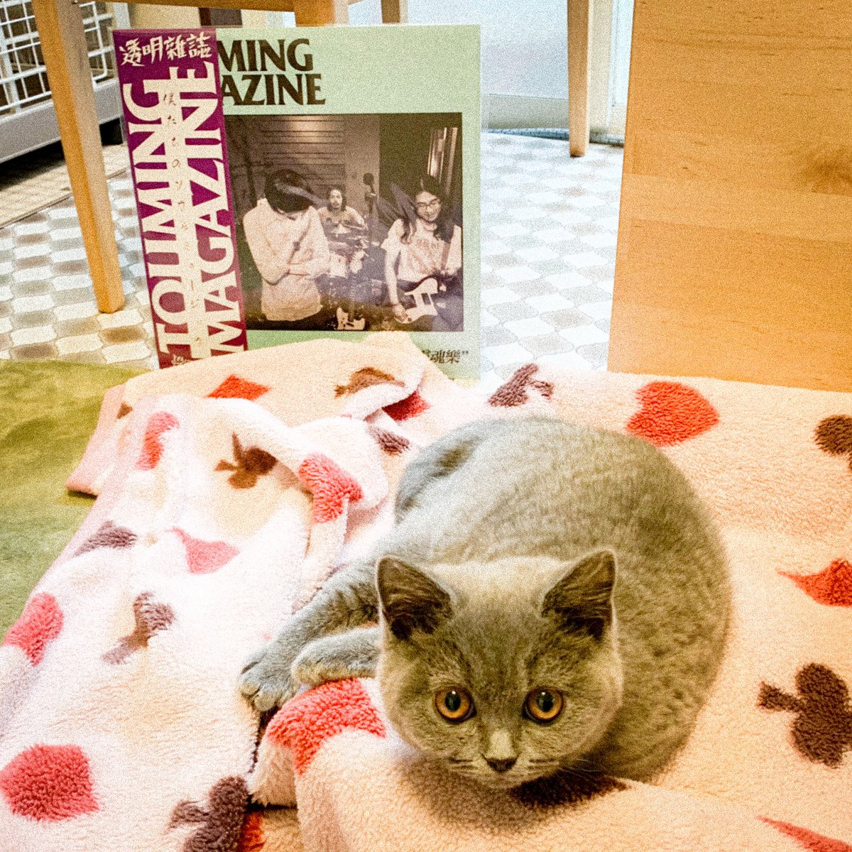 透明雑誌オフィシャル（JAPAN） (@touming_tour) / Posts / X