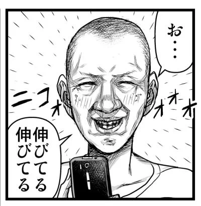 フリー素材です 