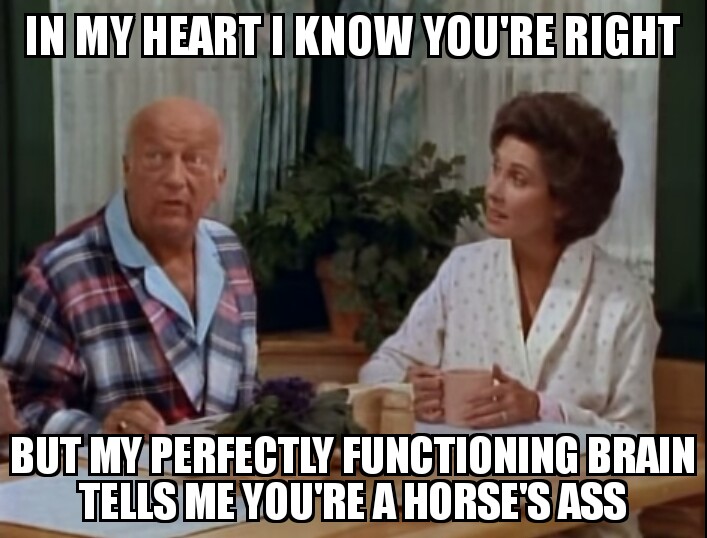 malibu reuben groines tweet media